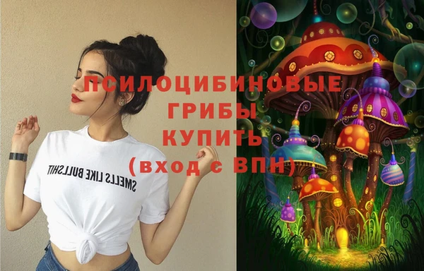 шишки Армянск