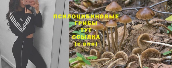 шишки Армянск